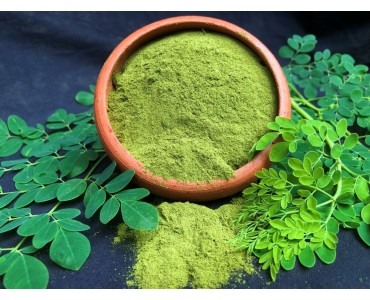 Health benefits of Moringa oleifera