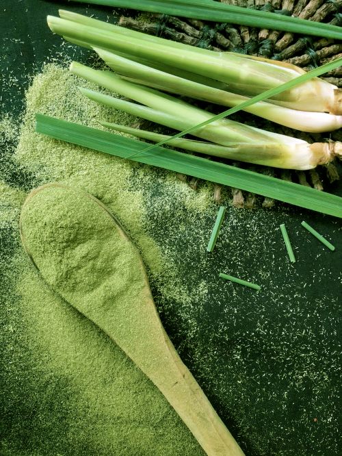 Lemongrass Farmer