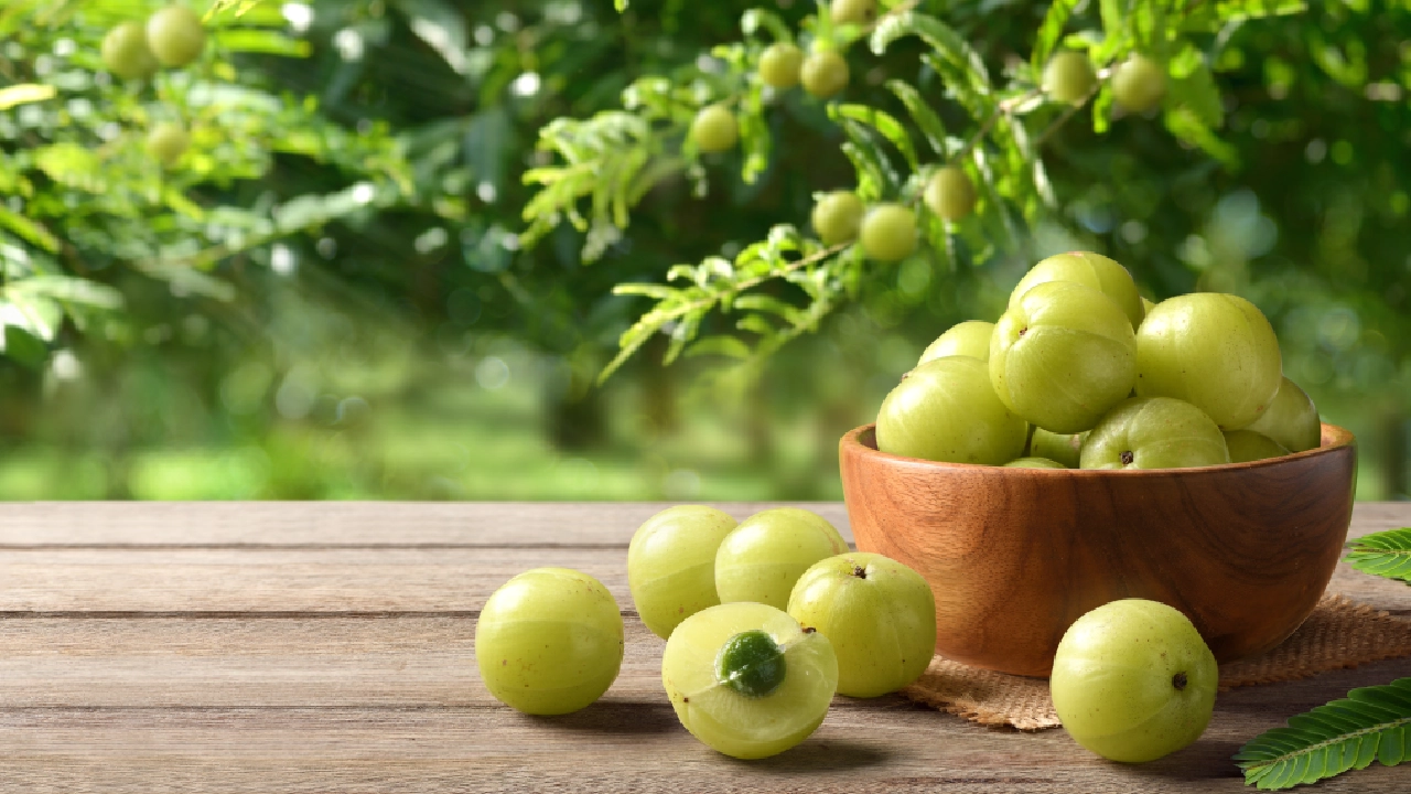 Organic Dried Amla