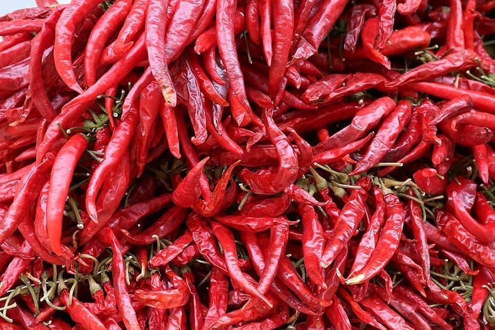 Organic Chili
